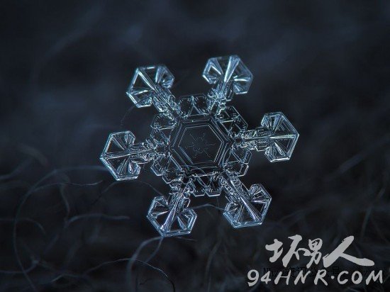 雪花最新版，探索其魅力与影响