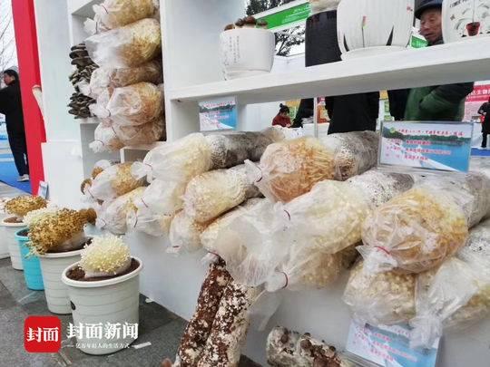 蓬溪县最新发展动态