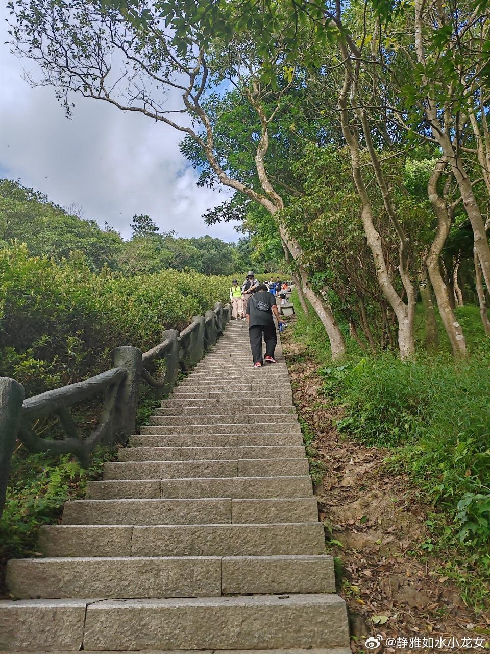 最新梧桐山的魅力与探索