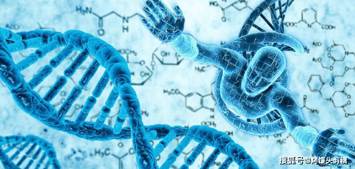 最新基因图谱，揭示生命奥秘的新篇章