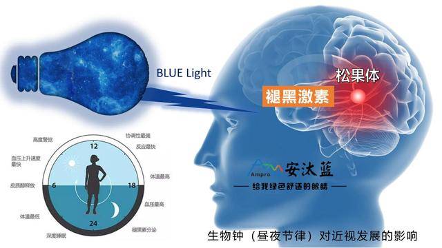 最新睡眠药物，改善睡眠质量的新选择