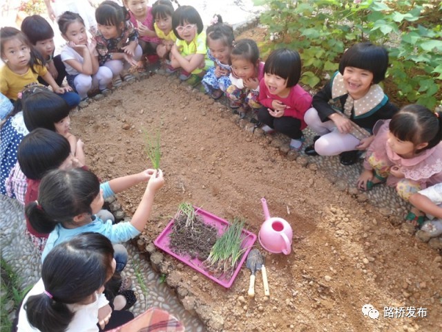 重庆学校最新动态，迈向现代化教育的新征程