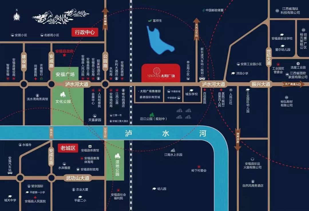 蟑螂社区最新动态，探索城市小强的新领地