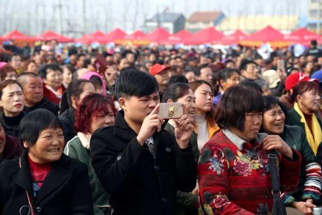 桃花直播App最新版本，功能升级与用户体验的革新