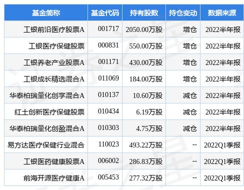 工银信息产业基金最新净值，深度解读与投资策略